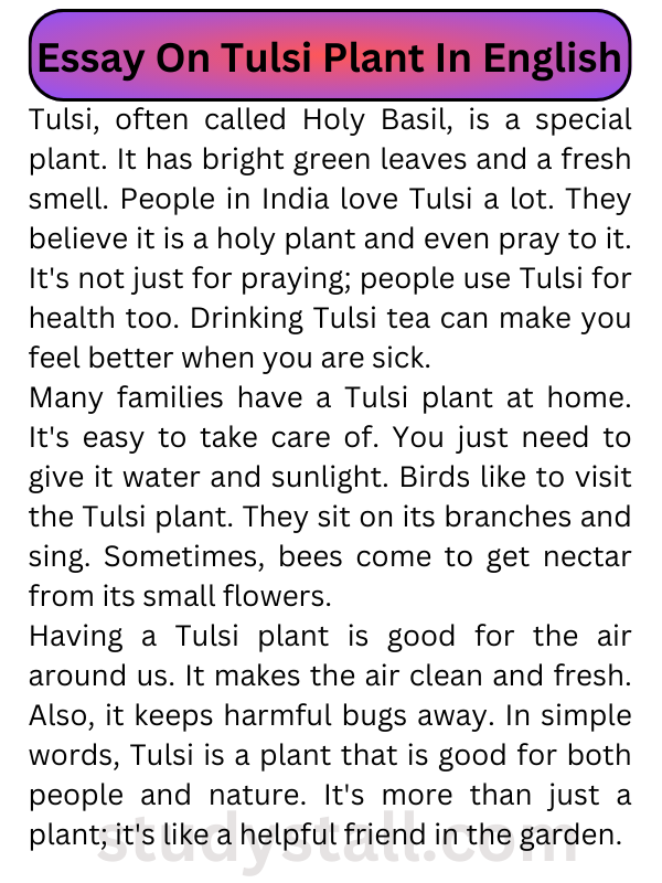 Essay On Tulsi Plant  In English 150 Words
