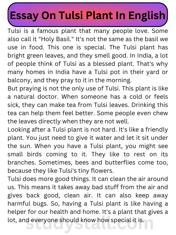 Essay On Tulsi Plant  In English 250 Words