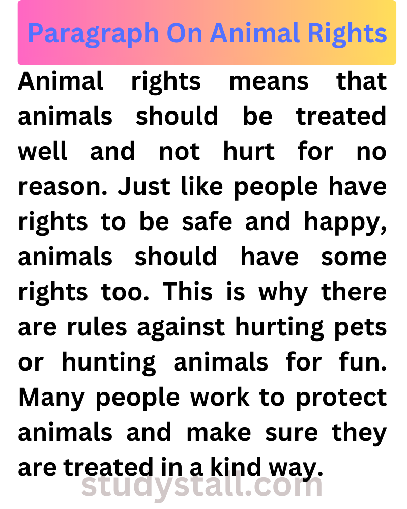 animal rights essay 500 words
