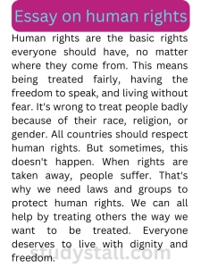 essay on human rights for college students